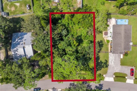 Terreno en venta en Oviedo, Florida № 1374469 - foto 4