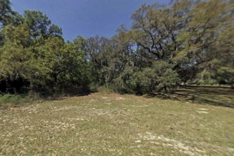 Land in Dunnellon, Florida № 1359474 - photo 1