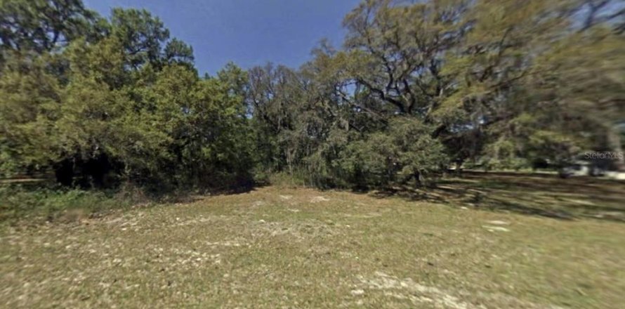 Land in Dunnellon, Florida № 1359474