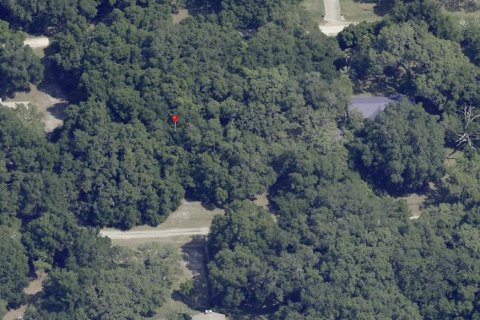 Land in Dunnellon, Florida № 1359474 - photo 3