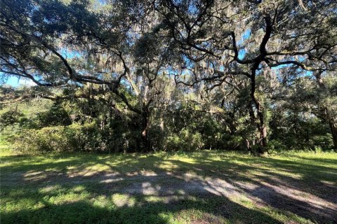 Terrain à vendre à Dunnellon, Floride № 1359474 - photo 5