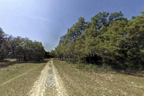 Terreno en venta en Dunnellon, Florida № 1359474 - foto 2