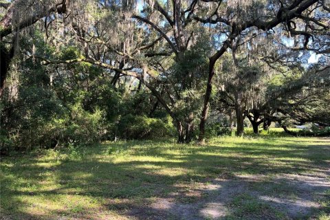 Terreno en venta en Dunnellon, Florida № 1359474 - foto 7