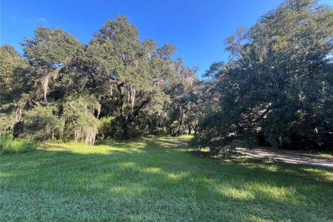 Terrain à vendre à Dunnellon, Floride № 1359474 - photo 11