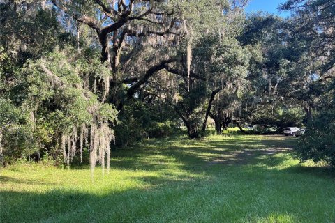 Terrain à vendre à Dunnellon, Floride № 1359474 - photo 6