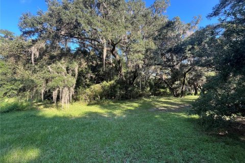 Terrain à vendre à Dunnellon, Floride № 1359474 - photo 4