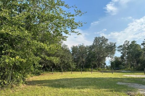 Terreno en venta en De Leon Springs, Florida № 1350831 - foto 1