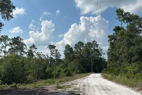 Terrain à vendre à De Leon Springs, Floride № 1350831 - photo 6