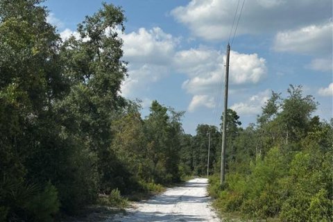 Terreno en venta en De Leon Springs, Florida № 1350831 - foto 7