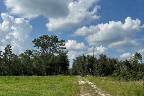 Terreno en venta en De Leon Springs, Florida № 1350831 - foto 2