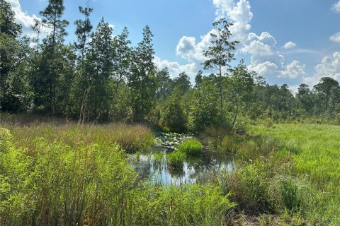 Terrain à vendre à De Leon Springs, Floride № 1350831 - photo 4