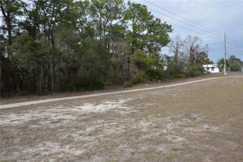 Terreno en venta en Brooksville, Florida № 1356094 - foto 6