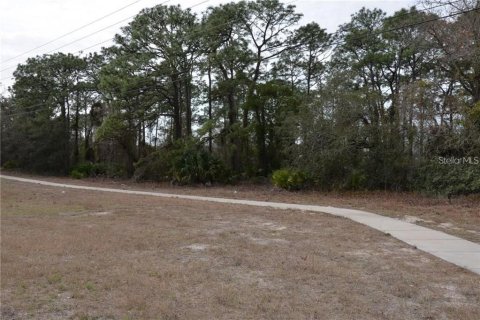 Terreno en venta en Brooksville, Florida № 1356094 - foto 5