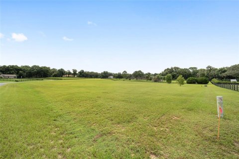 Terrain à vendre à Ocala, Floride № 1356056 - photo 6