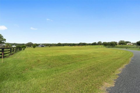 Terrain à vendre à Ocala, Floride № 1356056 - photo 4