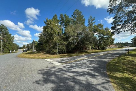 Terreno en venta en Ocala, Florida № 1431890 - foto 1