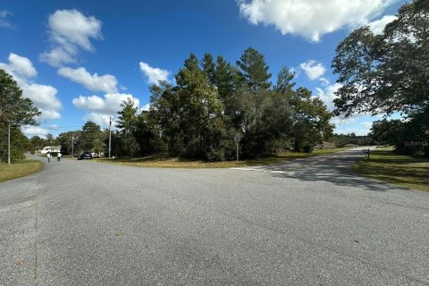 Terreno en venta en Ocala, Florida № 1431890 - foto 2