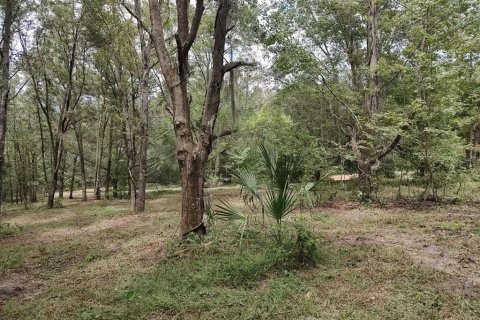 Terreno en venta en Brooksville, Florida № 1340975 - foto 1