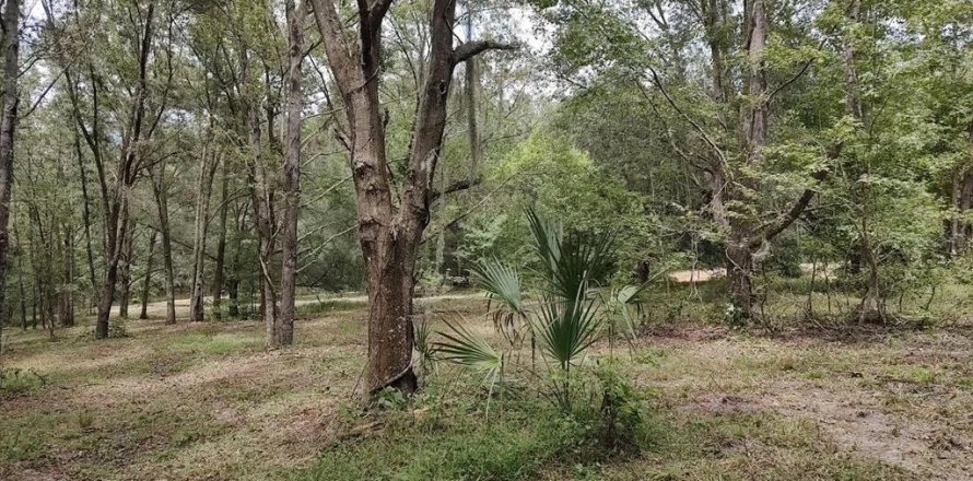 Terrain à Brooksville, Floride № 1340975