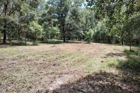 Terreno en venta en Brooksville, Florida № 1340975 - foto 3