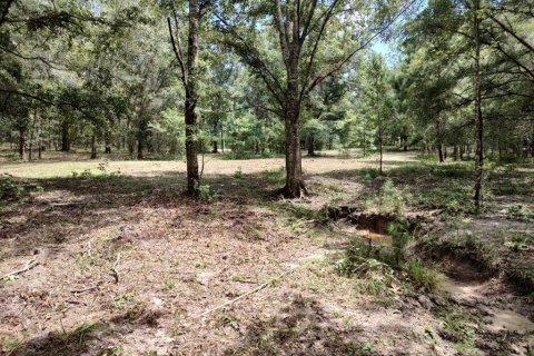 Terreno en venta en Brooksville, Florida № 1340975 - foto 4