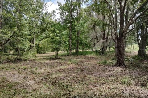 Terrain à vendre à Brooksville, Floride № 1340975 - photo 5