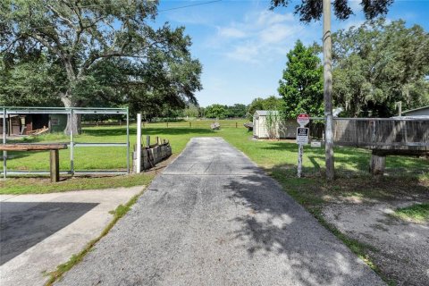 Terreno en venta en Thonotosassa, Florida № 1336932 - foto 2