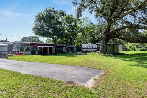 Land in Thonotosassa, Florida № 1336932 - photo 4