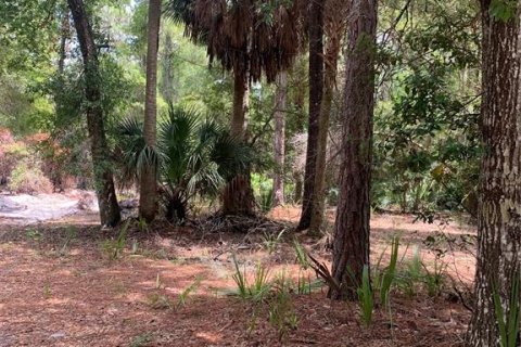 Terreno en venta en Georgetown, Florida № 1306966 - foto 1