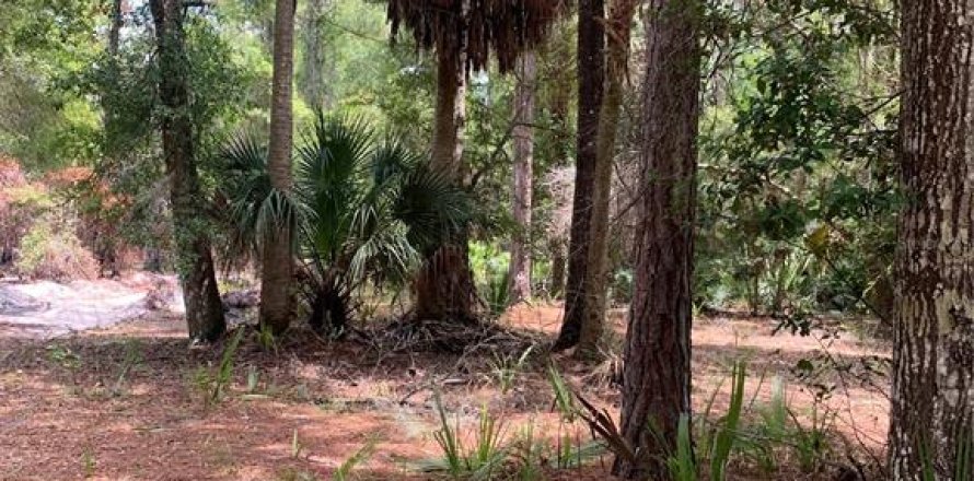 Terrain à Georgetown, Floride № 1306966