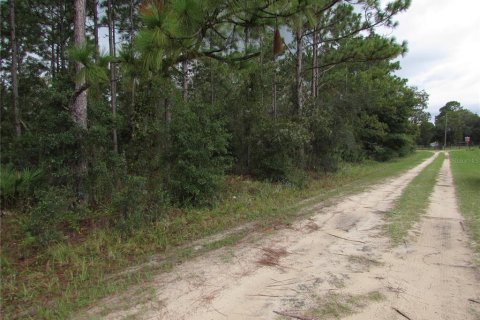 Terreno en venta en Dunnellon, Florida № 1358041 - foto 6