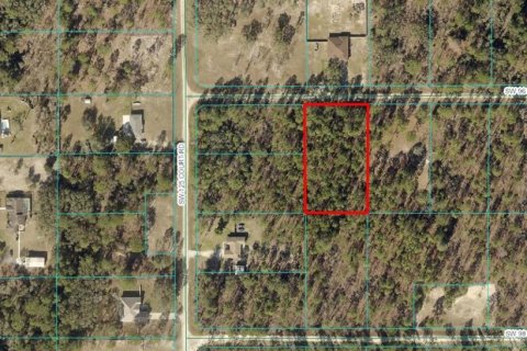 Land in Dunnellon, Florida № 1358041 - photo 10