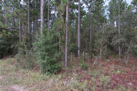 Land in Dunnellon, Florida № 1358041 - photo 1