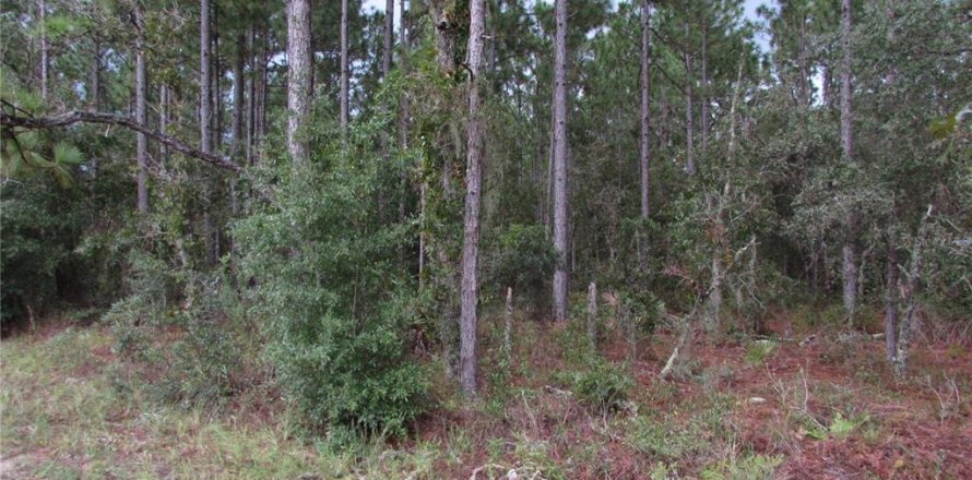 Land in Dunnellon, Florida № 1358041