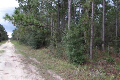 Terrain à vendre à Dunnellon, Floride № 1358041 - photo 3