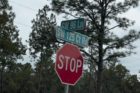 Land in Dunnellon, Florida № 1358041 - photo 2