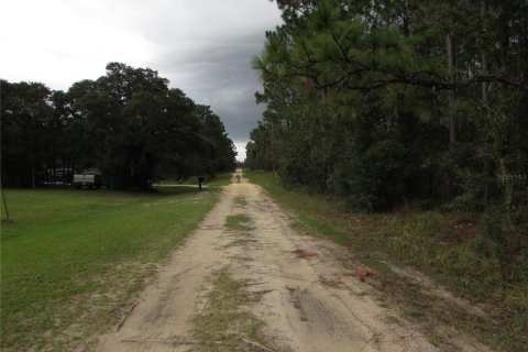 Terrain à vendre à Dunnellon, Floride № 1358041 - photo 4