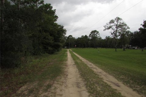 Terrain à vendre à Dunnellon, Floride № 1358041 - photo 7