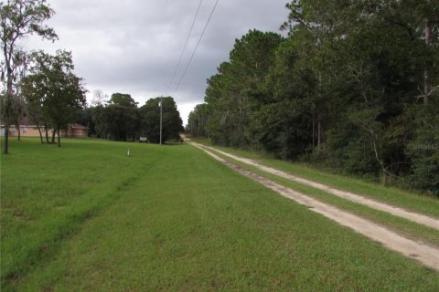 Terreno en venta en Dunnellon, Florida № 1358041 - foto 8