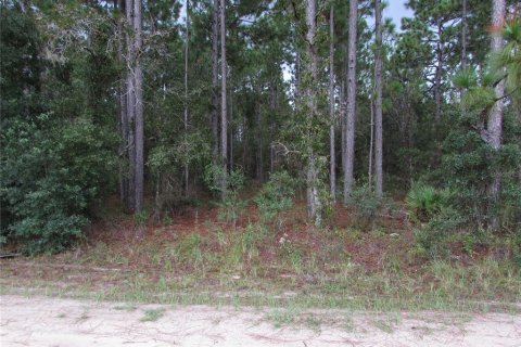 Terrain à vendre à Dunnellon, Floride № 1358041 - photo 5