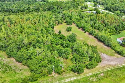 Land in Lakeland, Florida № 1249896 - photo 14