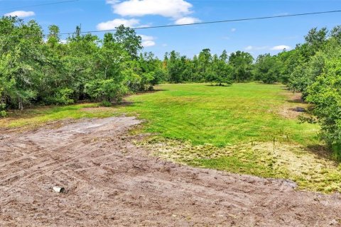 Terreno en venta en Lakeland, Florida № 1249896 - foto 15