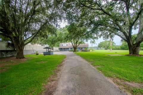 Casa en venta en Brandon, Florida, 5 dormitorios, 385.64 m2 № 1359349 - foto 3