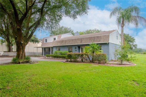 Casa en venta en Brandon, Florida, 5 dormitorios, 385.64 m2 № 1359349 - foto 1