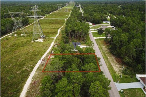 Terreno en venta en Ocala, Florida № 1359306 - foto 8