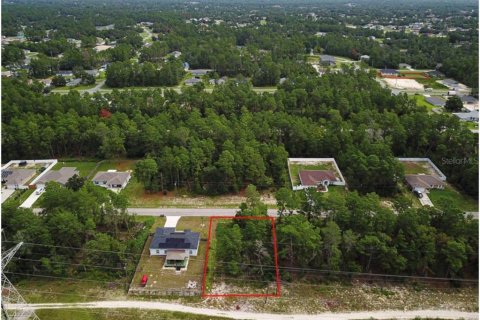 Terreno en venta en Ocala, Florida № 1359306 - foto 4