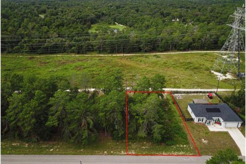 Terreno en venta en Ocala, Florida № 1359306 - foto 6