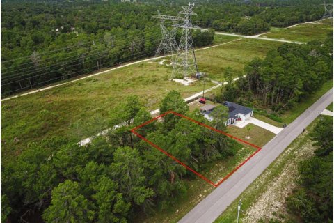 Terreno en venta en Ocala, Florida № 1359306 - foto 7