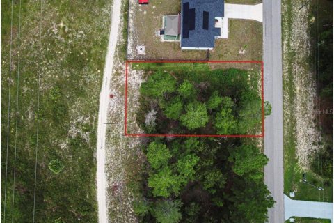 Terreno en venta en Ocala, Florida № 1359306 - foto 5