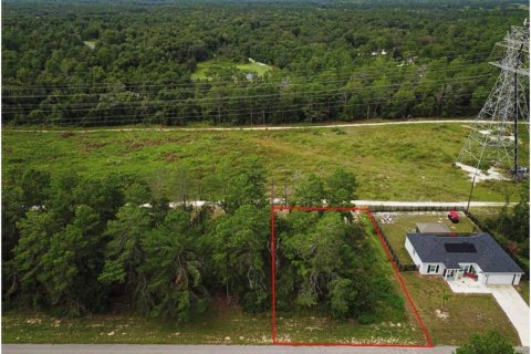 Terreno en venta en Ocala, Florida № 1359306 - foto 1